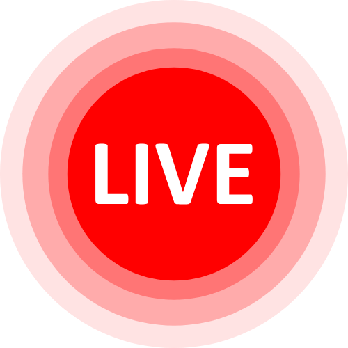 Lovense Control Link